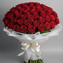 Букет 101 Красная роза Блэк Мэджик в Большая Вруда
