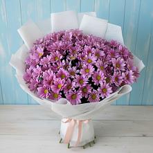 Букет цветов из:  Хризантемы в Большая Вруда