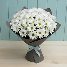 Букет цветов из:  Хризантемы в Большая Вруда