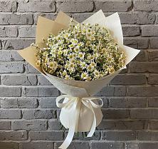 Букет цветов из:  Ромашки в Большая Вруда
