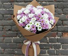 Букет цветов из:  Хризантемы в Большая Вруда