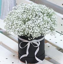 Цветочная композиция из Гипсофила в шляпной коробке #REPLACE_PRED# Большая Вруда