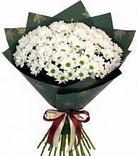 Букет цветов из:  Хризантемы #REPLACE_PRED# Большая Вруда