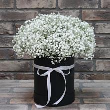 Цветочная композиция из Гипсофила в шляпной коробке в Большая Вруда