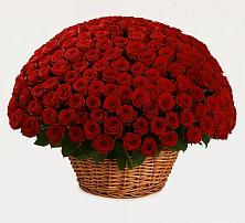 Премиум букет из: Розы в Большая Вруда