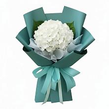 Букет цветов из:  Гортензия в Большая Вруда